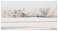 Sneeuwlandschap Winter 3